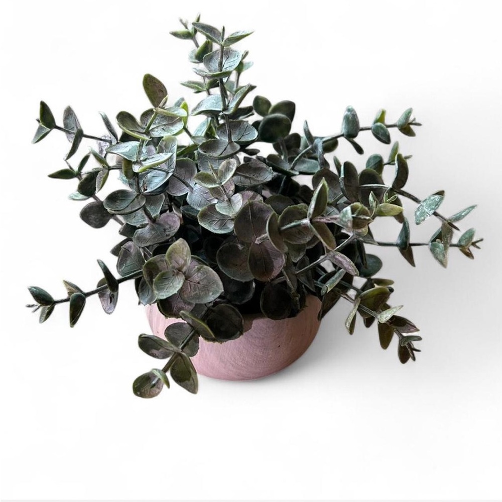 Artificial Eucalyptus Plant in White Pot